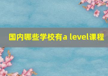 国内哪些学校有a level课程